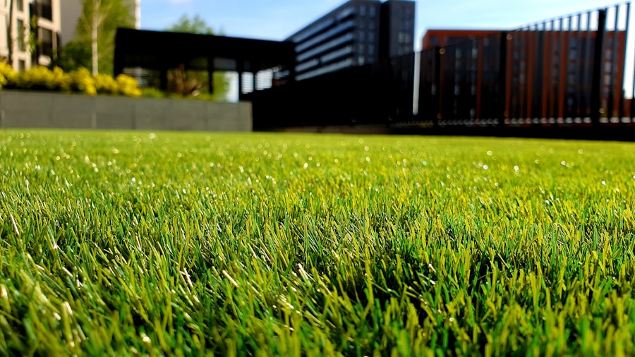 A striped lawn with a fence line