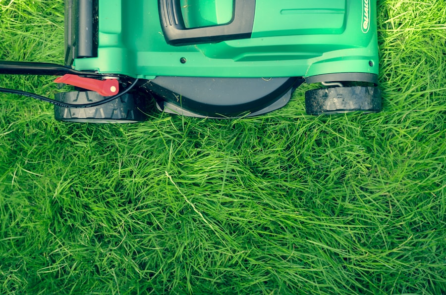 Mowing a healthy green lawn
